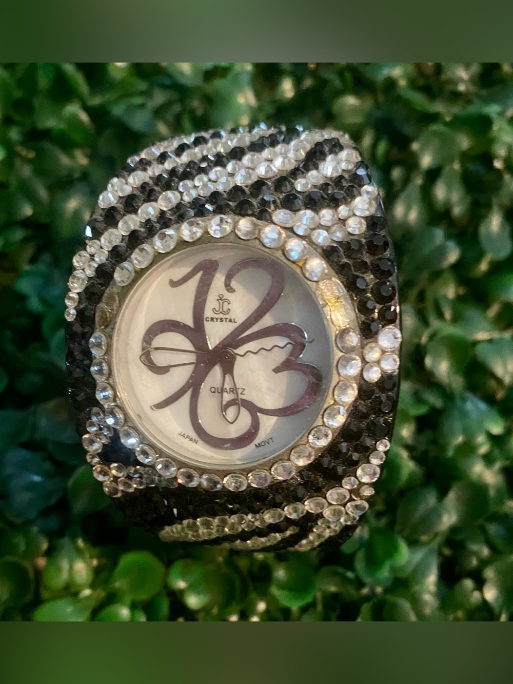 Jimmy Crystal Zebra Rhinestone Bangle Watch